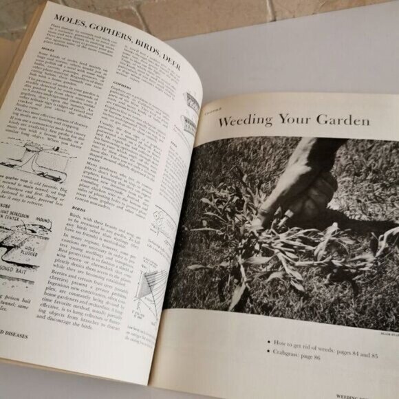 1973 Sunset Basic Gardening Illustrated, Vintage Plants Landscape Backyard Retro - Picture 8 of 9